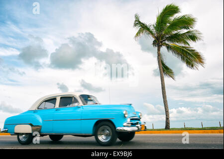 VARADERO, Kuba - 7. Juni 2011: Klassische amerikanische Oldtimer Laufwerke Küstenstraße neben einzige Palme. Stockfoto