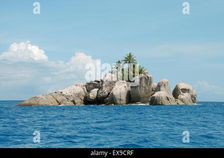 Eine kleine felsige Insel mit Palmen in der Nähe der Insel Mahé, Indischer Ozean, Seychellen Stockfoto
