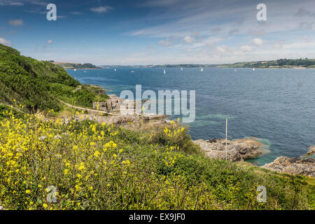 Carrick Roads von Pendennis Punkt in Falmouth gesehen. Stockfoto