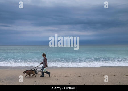 Ein Mann seine drei Hunde Fistral Strand in Newquay, Cornwall entlang spazieren. Stockfoto