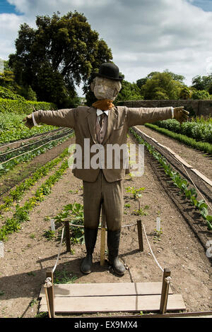 Eine Vogelscheuche in die Gemüsegärten in den Lost Gardens of Heligan in Cornwall. Stockfoto