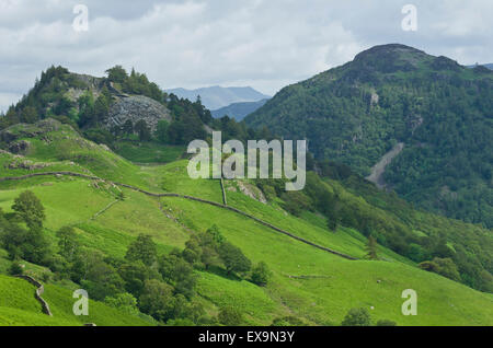 Schloss Crag & King's wie Fells, Borrowdale, Nationalpark Lake District, Cumbria, England, Großbritannien im Sommer Stockfoto