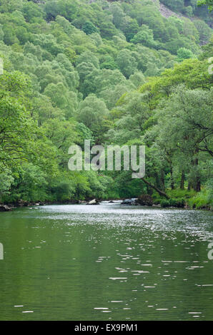 Fluß Derwent bei Bowder Dub, Borrowdale, Nationalpark Lake District, Cumbria, England, UK im Sommer Stockfoto