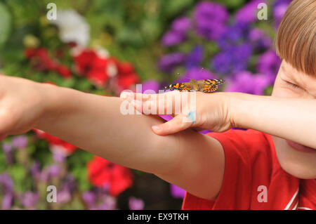 Ein Junge mit einem Distelfalter Schmetterling Stockfoto