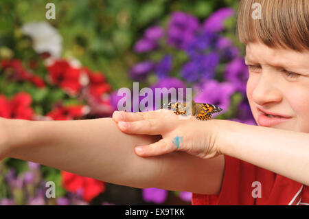 Ein Junge mit einem Distelfalter Schmetterling Stockfoto