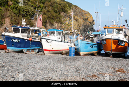 Angelboote/Fischerboote am Strand von Cadgwith Cove - eine unberührte Ort auf der Halbinsel Lizard Stockfoto