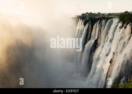 Afrika, Sambia, Mosi-Oa-Tunya Nationalpark, untergehende Sonne leuchtet Eastern Katarakt Viktoriafälle Stockfoto