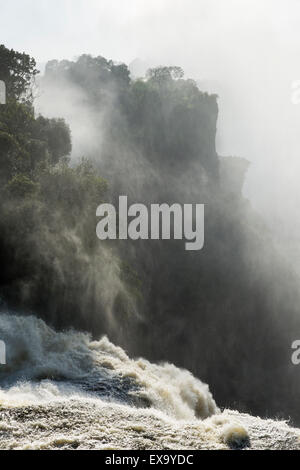 Afrika, Simbabwe, Victoria Falls National Park, Zambezi River ergießt sich über Victoria Falls am Sommermorgen Stockfoto