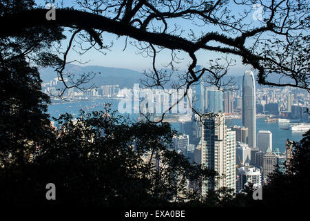 China, Hong Kong, Blick auf die Skyline der Stadt durch Äste eines Baumes auf Victoria Peak an Wintermorgen Stockfoto