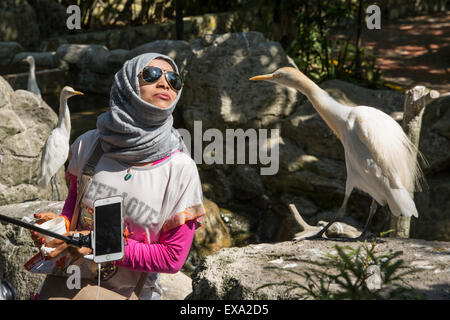 Asien, Malaysia, Kuala Lumpur, junge Frau in Kopf Schal Posen für Schnappschüsse mit Storch in Kuala Lumpur Bird Park Stockfoto