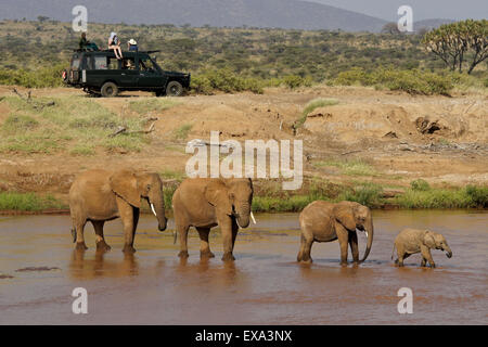 Safari-Fahrzeug und Elefanten (Uaso) Ewaso Nyiro Fluss, Samburu, Kenia Stockfoto