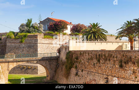 Ajaccio, La Citadelle. Alte steinerne Festung und Brücke. Korsika, Frankreich. Beliebtes touristisches Wahrzeichen Stockfoto