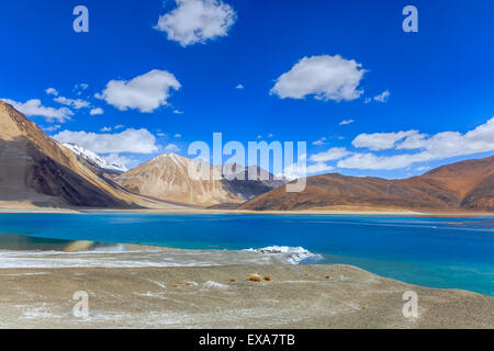 Blick auf Pangong See in Leh, Ladakh Region, Indien Stockfoto