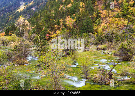 Bunte Jiuzhaigou Nationalpark im Herbst, Sichuan, China Stockfoto