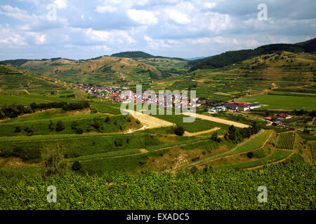 Blick von der Mondhalde in Richtung Oberbergen Vogtsburg, Kaiserstuhl, Schwarzwald, Baden-Württemberg, Deutschland Stockfoto