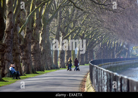 Zwei Frauen zu Fuß entlang einer Allee von Platanen in Wandsworth Park am Südufer der Themse in Putney Stockfoto