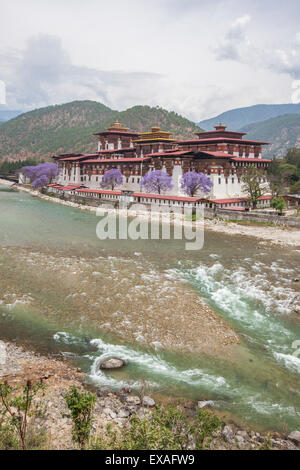 Der Punakha Dzong (Pungtang Dechen Photrang Dzong) ist das Verwaltungszentrum von Punakha Bezirk in Punakha, Bhutan, Asien Stockfoto