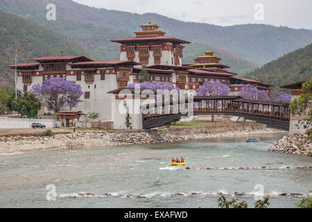 Rafting in den Fluss Mo Chhu fließt in der Nähe von Punakha Dzong wo blühen die Jacaranda-Bäume, Bhutan, Asien Stockfoto