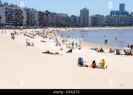 Pocitos Strand, Montevideo, Uruguay, Südamerika Stockfoto