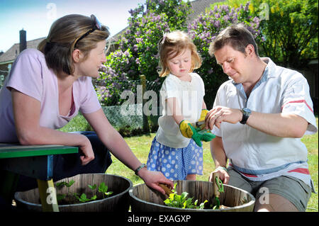 Eine Familie mit Tochter Pflanzen Samen in ihren Garten, Gloucestershire UK Stockfoto