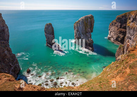 Stapeln Sie, Felsen, Castlemartin, Pembrokeshire Coast, Wales, Vereinigtes Königreich, Europa Stockfoto