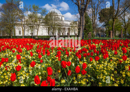 Das National Museum of Wales, Cardiff, Wales, Vereinigtes Königreich, Europa Stockfoto