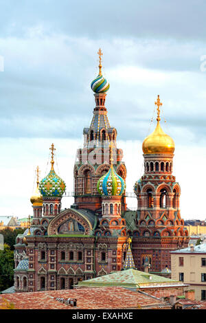 Kuppeln der Kirche des Retters auf Blut, UNESCO-Weltkulturerbe, St. Petersburg, Russland, Europa Stockfoto