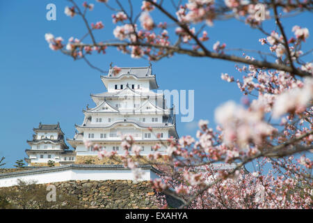 Burg Himeji, UNESCO-Weltkulturerbe, Himeji, Kansai, Honshu, Japan, Asien Stockfoto