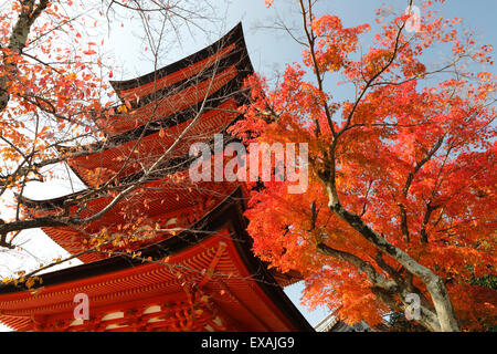 Fünfstöckige Pagode (Gojunoto) im Herbst, UNESCO-Weltkulturerbe Insel Miyajima, westlichen Honshu, Japan, Asien Stockfoto