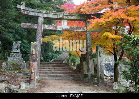 Torii-Tor und Schritte von Daisho-in Tempel im Herbst, Insel Miyajima, westlichen Honshu, Japan, Asien Stockfoto