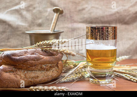 Glas Bier mit Gerste auf Tisch. Selektiven Fokus. Stockfoto