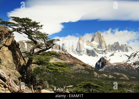 Wunderschöne Naturlandschaft mit Mt. Fitz Roy Stockfoto