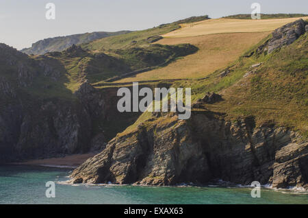 Felsigen Klippen und Küste, East Prawle, Gammon Kopf, Devon, Westküste, UK Stockfoto