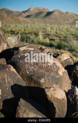 Felszeichnungen mit Landschaft in der Wüste von Arizona Stockfoto