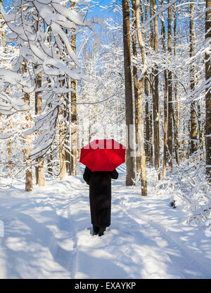 Frau, die auf einem Pfad, einem Schneesturm, Winterbäumen, New Jersey, USA, Allein wp, Land Waldweg, roter Regenschirm Schnee Rückansicht Stockfoto