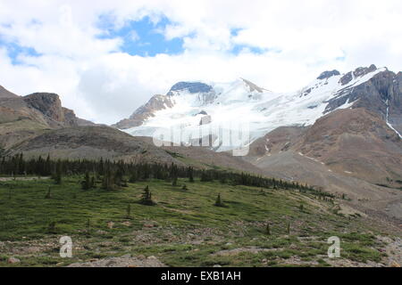 Gletscher, Kanadische Rockies Stockfoto