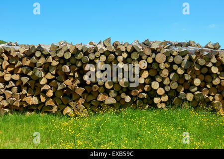 Stapel von Brennholz Stockfoto