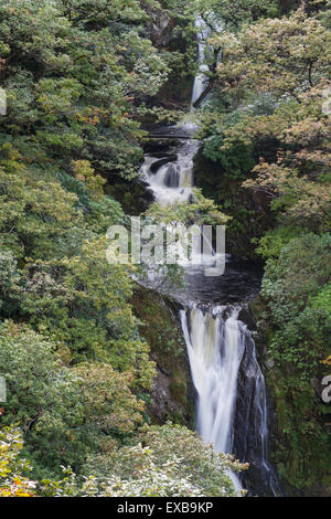 Barke stürzen oder Rhaeadr Mynach einen Wasserfall im Herbst oder im Herbst. Teufels-Brücke, Pontarfynach, Hafod Immobilien, Ceredigion, Wales, Uni Stockfoto