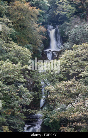 Barke stürzen oder Rhaeadr Mynach einen Wasserfall im Herbst oder im Herbst. Teufels-Brücke, Pontarfynach, Hafod Immobilien, Ceredigion, Wales, Uni Stockfoto