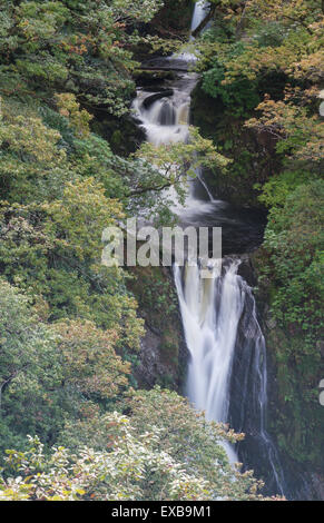 Barke stürzen oder Rhaeadr Mynach einen Wasserfall im Herbst oder im Herbst. Teufels-Brücke, Pontarfynach, Hafod Immobilien, Ceredigion, Wales, Uni Stockfoto