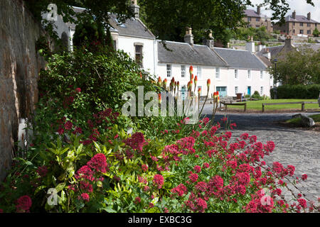 Blumen vor Haus, Culross, Fife Stockfoto