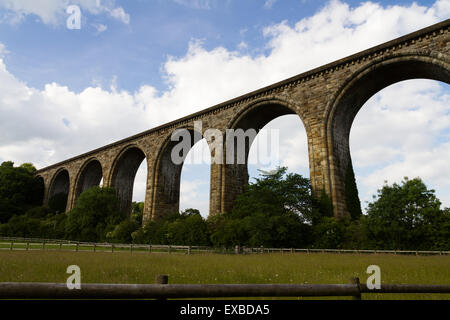 Die cefn Eisenbahnviadukt bei Ty Mawr Country Park, Wrexham, North Wales Stockfoto