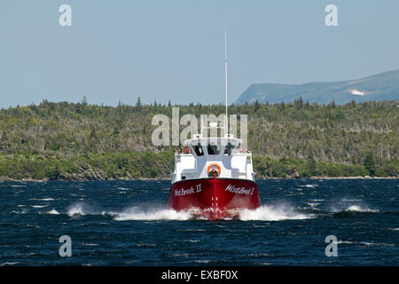Ein Ausflugsschiff auf Western Brook Pond, Neufundland. Stockfoto