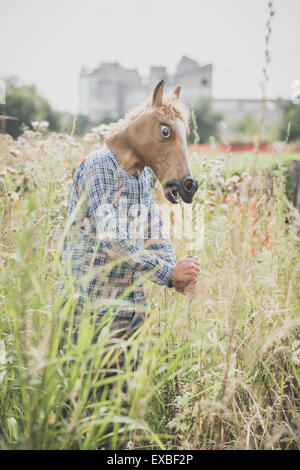 Pferd Maske absurde Mensch in der Wiese Stockfoto