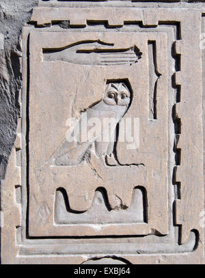 Luxor, Karnak, Egypt.Temple von Karnak Heiligen Gott Amon: Hieroglyphen an der Wand. Stockfoto