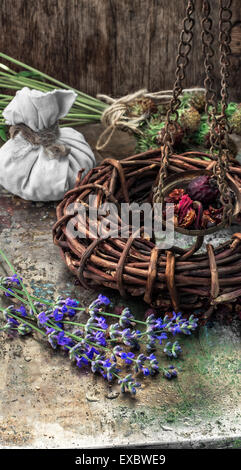 gesammelte und getrocknete Heilkräuter und Pflanzen für Kräuterkunde ist. Foto getönt Stockfoto