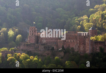 Heidelberger Schloss Heidelberger Schloss Deutschland Stockfoto