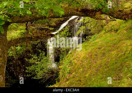 Buchan brennen Wasserfall in Glen Trool Stockfoto