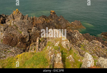 Insel der Fund Küste Stockfoto