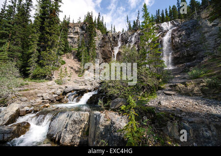 Tangle Creek Falls Sulla Icefield Parkway in Kanada Stockfoto